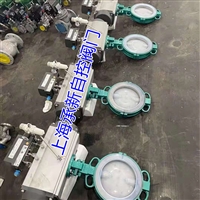供应D671F46-16C DN65气动衬氟蝶阀 气动开关蝶阀