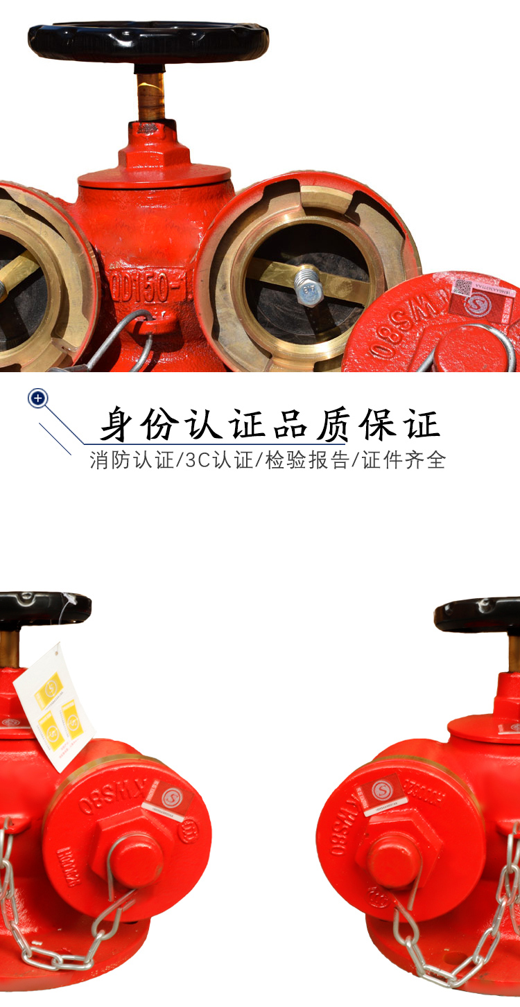 多功能水泵接合器sqd10016新型多用式阀门3c