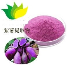 紫薯粉天然原料红署
