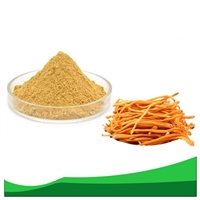 蛹蟲草提取物 多規(guī)格比例濃縮斯諾特生物 無菌包裝