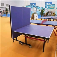 永泰体育供应 折叠 式可移动乒乓球台 防雨防晒 支持定制
