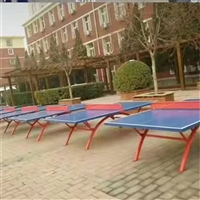永泰体育供应 室外标准 青少年锻炼乒乓球桌 支持定制 