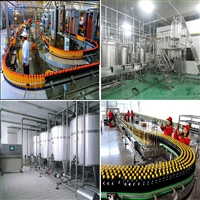 玻璃瓶板栗醋加工生产设备 产值500吨芒果醋流水线 饮料机械