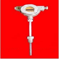 矿用隔爆型温度变送器 型号:YZ12-GWD160K库号：M97383