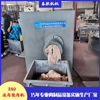 大型250型牛肉冻肉绞肉机 冻肉盘碎肉机器 肉制品加工设备