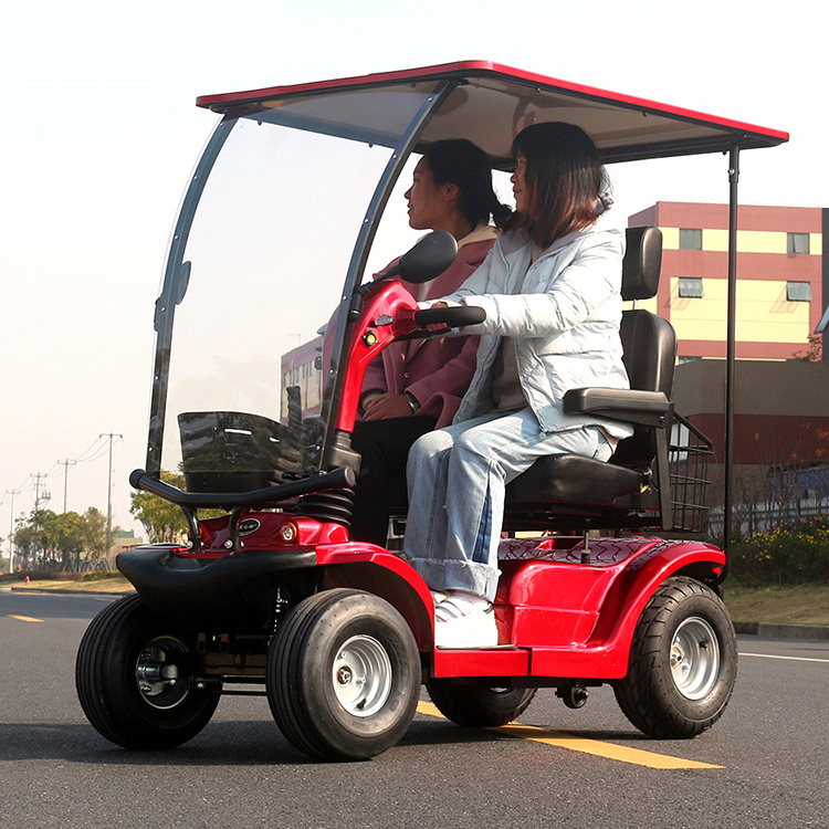 威之群4031b雙人觀光車老年接送孩子家用小巴士電瓶車