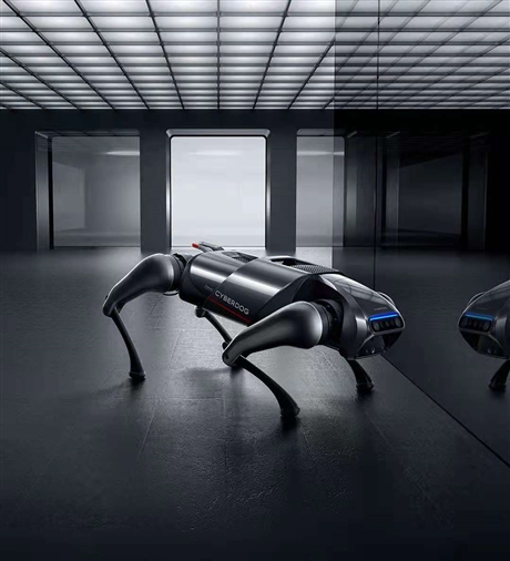 高压环网柜小体积箱型固定式金属封闭全国联保