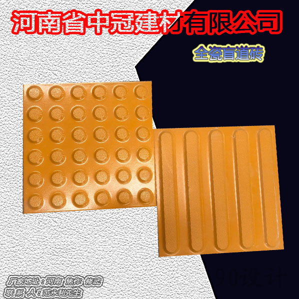 钢*凤凰的*要组成部分-机场中灰色全瓷盲道砖 基地项目