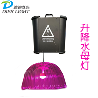 迪迩 LED网红灯 红外线感应呼吸球灯 异形升降发光管