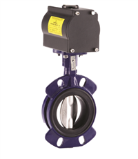 美国凯斯通GRW软密封水处理蝶阀