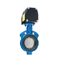 美国KEYSTONE凯斯通铸铁蝶阀