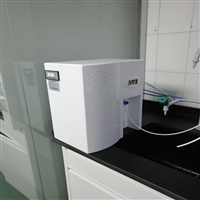 生化仪配套反渗透超纯水机 EDI去离子水设备 实验室器皿清洗用水