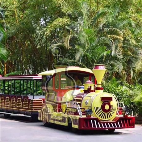 博瑞特柴油小火车迷你电动小火车观光旅游设备