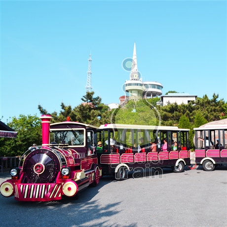 博瑞特儿童小火车景区观光火车景区观光设备