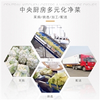 预制菜生产加工设备 预制菜叶菜切配流水线供应