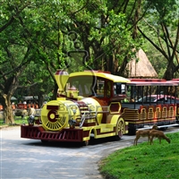 博瑞特柴油小火车蒸汽小火车景区观光设备