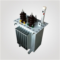 瑞凌电气D11-30KVA 单相油浸式电力变压器 10KV变220V