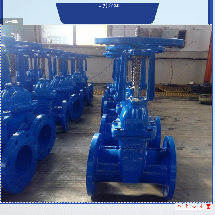 给排水软密封法兰闸阀  DN150 DN250 DN300 人防防护闸阀Z41X-16Q