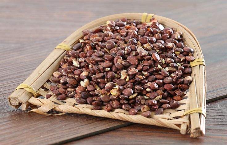 天津港枣籽进口清关代理