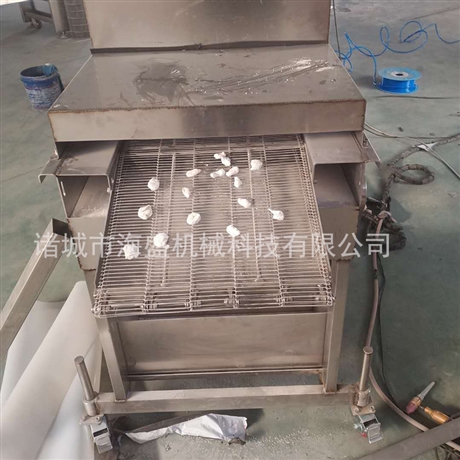 全自動茄子條裹粉設(shè)備  蔬菜隧道式上粉機 自動西蘭花上粉機