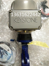 美国凯斯通电动中心线两半式蝶阀