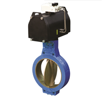 美国凯斯通F634气动伸缩控制蝶阀