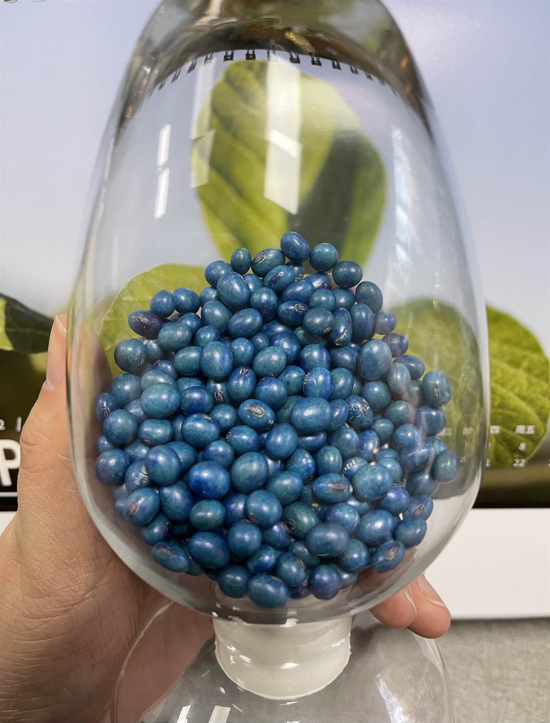 2021年当季大豆种子郑1307品种采用双层包衣覆膜技术厂家批发欢迎选购