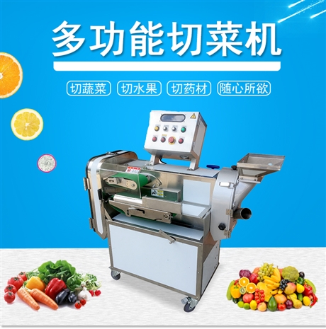 大型切菜機 飯?zhí)枚喙δ茈p頭切包子餡機 切絲切片切丁一體機 九盈TJ-301D