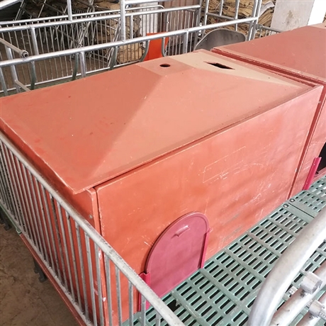 母猪产床保温箱安装图片
