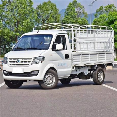 瑞驰总代理电动货车电动仓栏车汇聚达新能源绿色出行