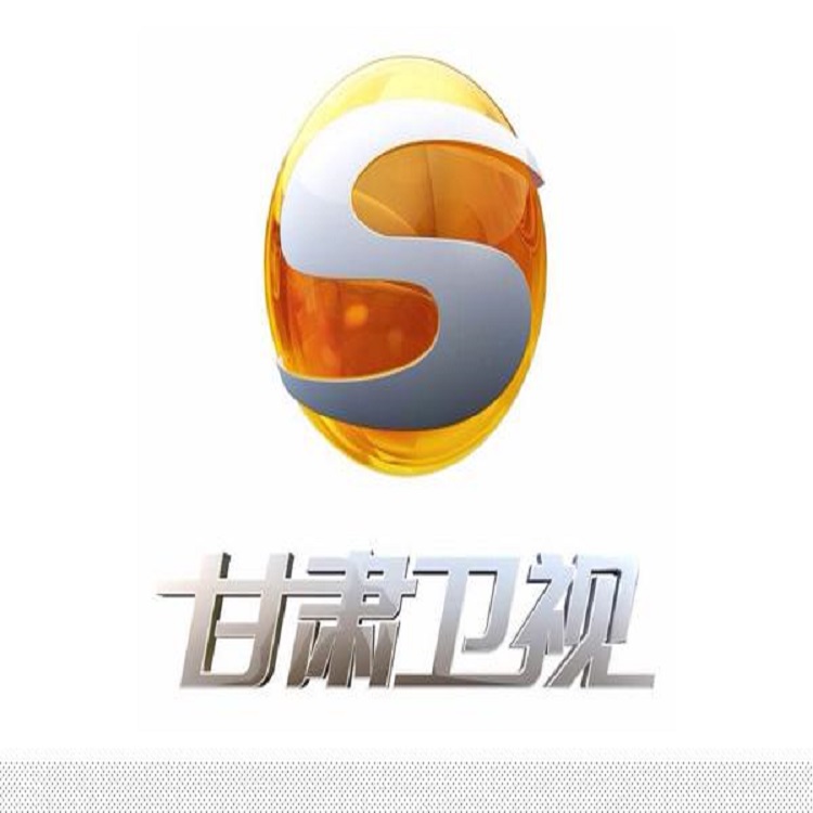 甘肃卫视2010广告图片