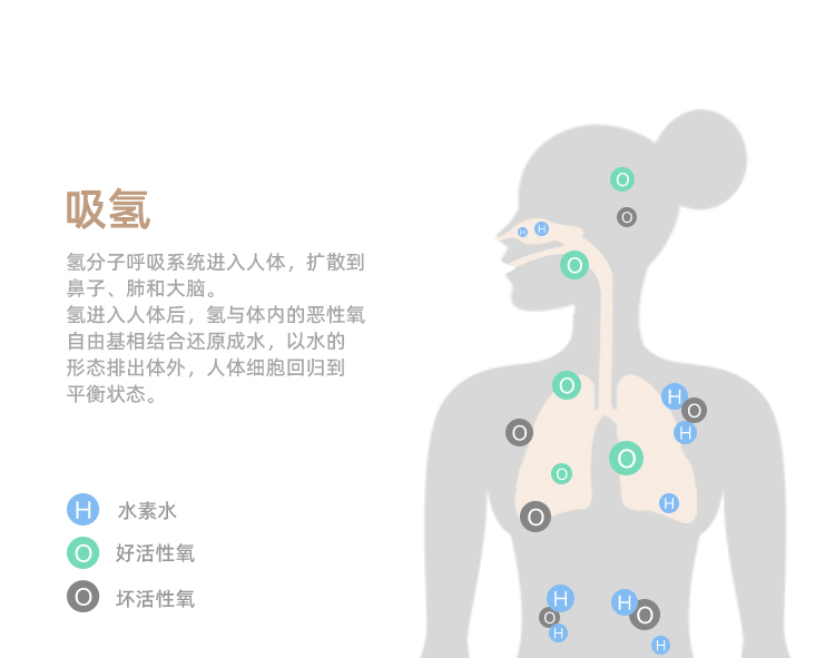 深圳吸氢机品牌康恩泉便携式氢气发生器大流量吸氢机家用氢气机