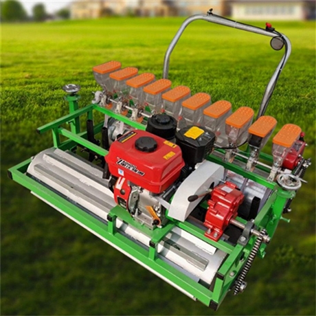 大葱育苗免耕型播种机小粒种子蔬菜精播机华圣