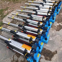 农用高压汽油 大棚养殖场消杀 烟雾弥雾两用打药机 智能空气消毒机