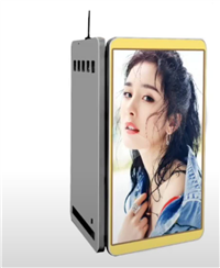 P3.5LED灯杆屏幕 间距3.5MM