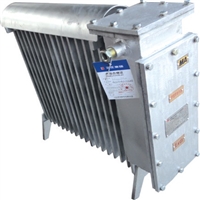 矿用防爆电热器   导热效果好 维护简单  NZHE-2/127矿用隔电热取暖器