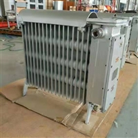 防爆电热器 两用设计电热器 RB-2000/127A 矿用防爆电热器