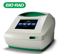BIORAD-PCR