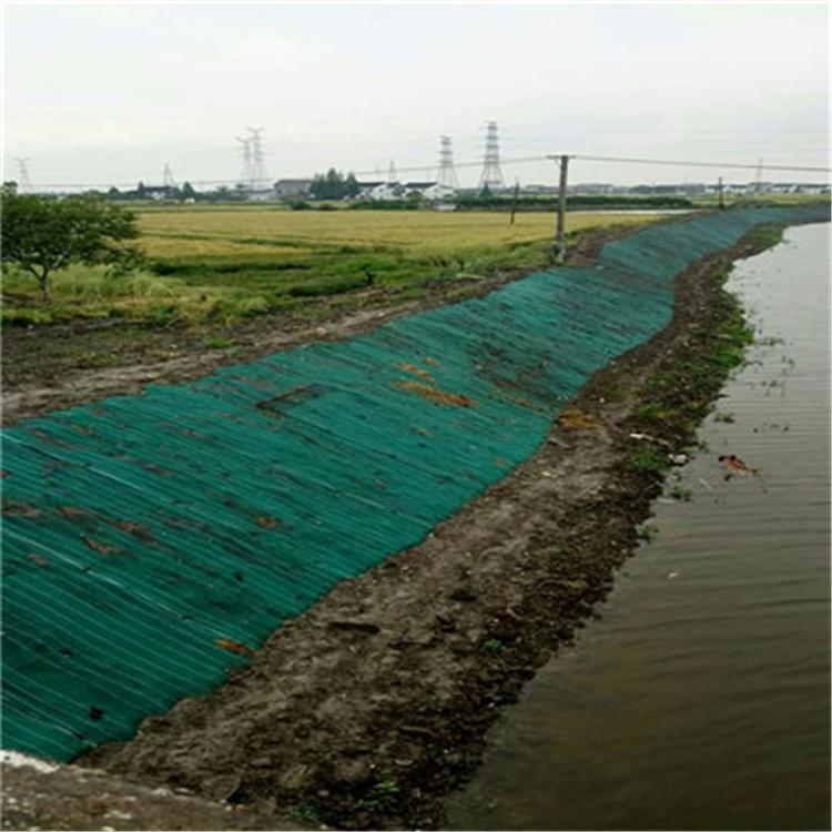 梅州植生毯加筋抗冲生态毯抗冲植物毯