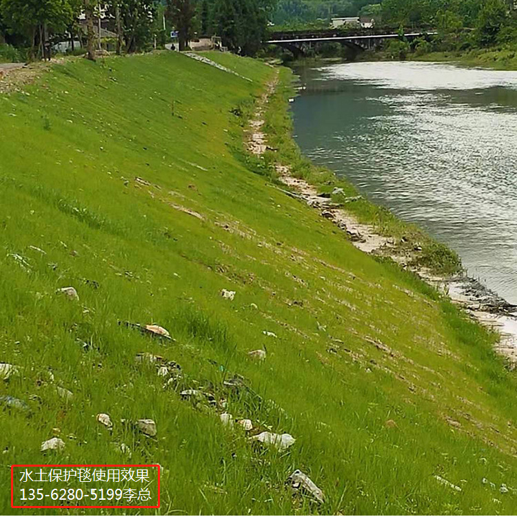 柔性水土保护毯 防流失水土防护毯 EM4层植草加筋水土保护毯 山东路易达