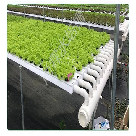 水培槽尚霖水培种植槽种植图例草莓立体种植槽