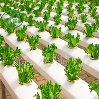 温室立体蔬菜水培种植槽 草莓立体种植槽