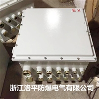 BXM(D)防爆照明动力配电箱 厂家报价 洛平防爆