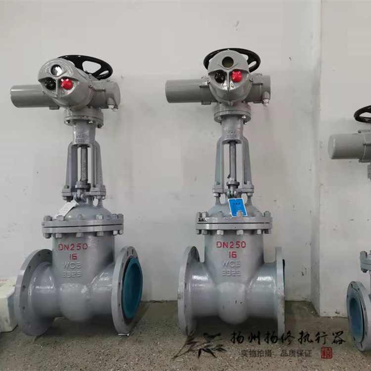 扬州扬修：智能电动闸阀/材质碳钢