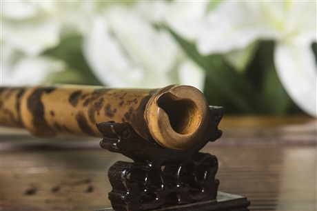 丁治国经典款虎皮竹洞箫南箫演奏收藏箫八孔六孔gfed调萧