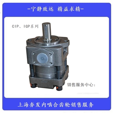夯发内啮合齿轮泵中压IGP3-M010F供应