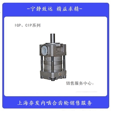 夯发齿轮液压泵IGP5-H063F供应