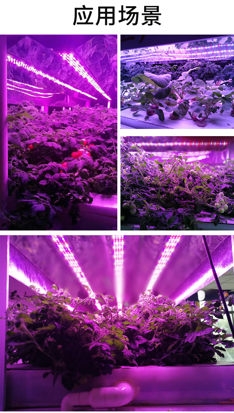 全光谱led植物生长灯八爪鱼500w
