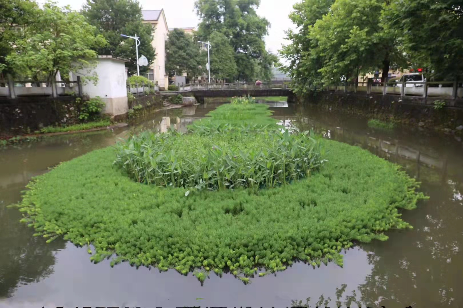 四川方形人工浮岛报价 生态修复水面水景绿化 植物浮床 负则施工