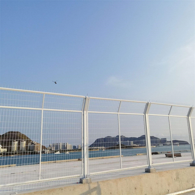 海关保税区围栏网综合保税区围网钢板网护栏网